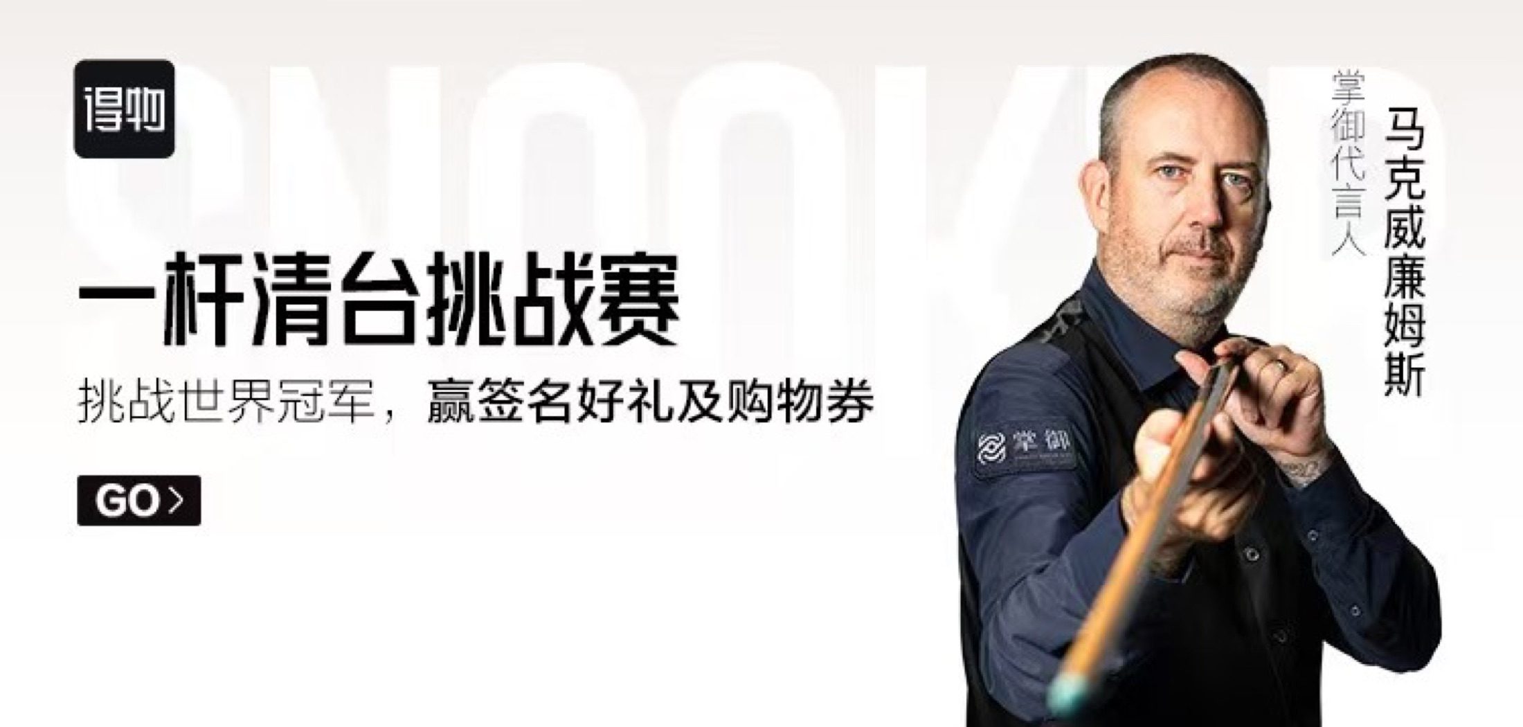 Mark Williams campaign banner